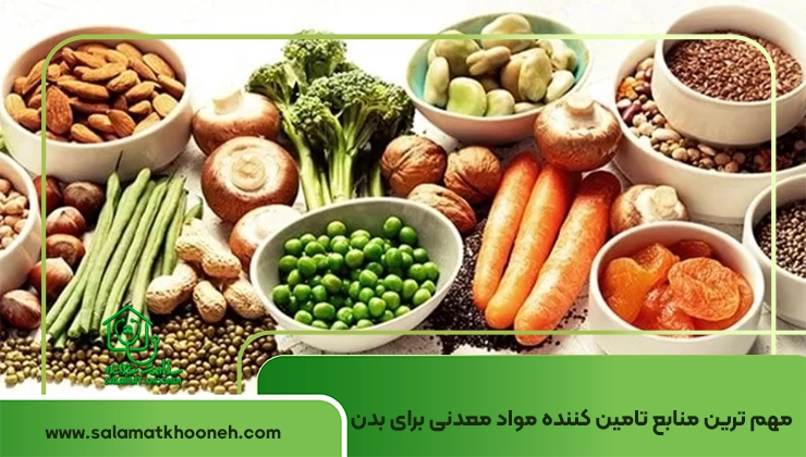 منابع تامین کننده مواد معدنی