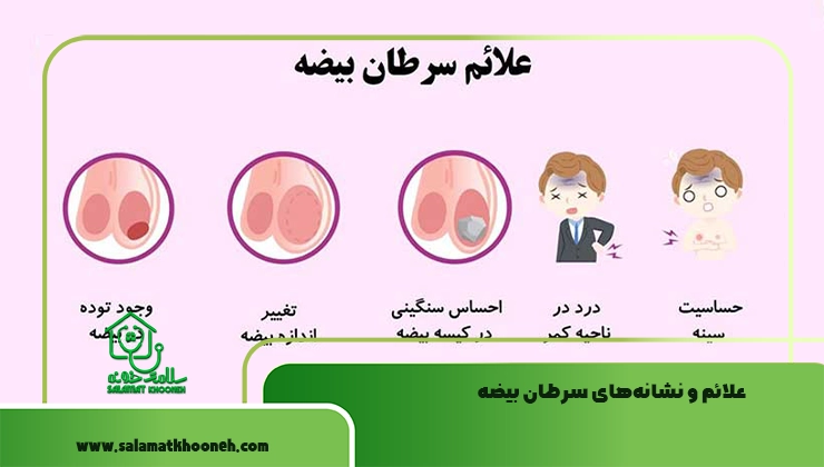 علائم سرطان بیضه