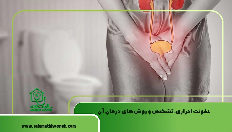 عفونت ادراری