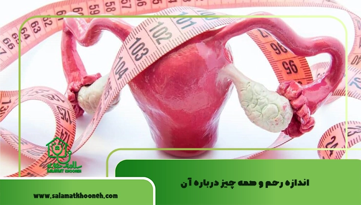 اندازه رحم