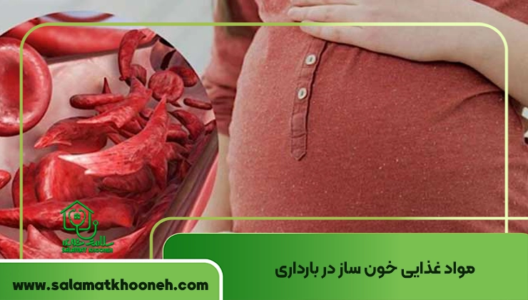 مواد غذایی خون ‌ساز 