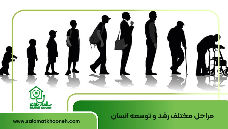 مراحل مختلف رشد