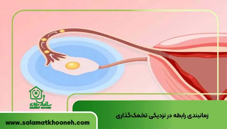 زمانبندی رابطه در نزدیکی تخمک_گذاری